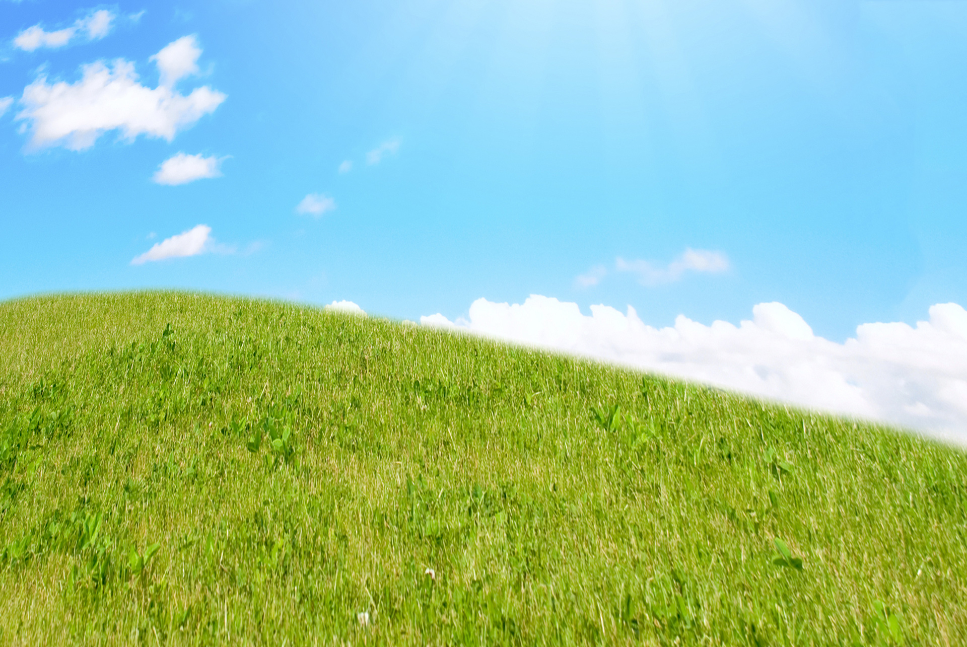 As You Wish Designs - Atlanta Area Web Design